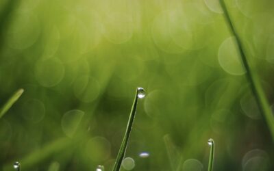 Zum Sommer geht es an den Start!