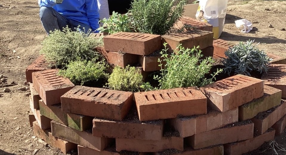 Unser Schulgartentag – Ein voller Erfolg!